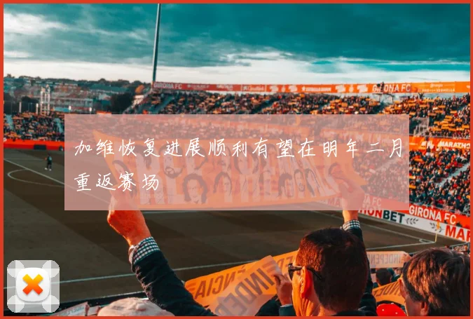 加维恢复进展顺利有望在明年二月重返赛场