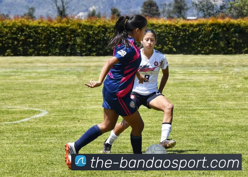 半岛体育APP 高清赛事图